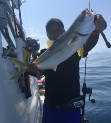 シーモンキー 釣果