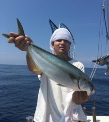 シーモンキー 釣果