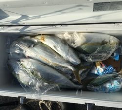 シーモンキー 釣果