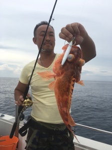 シーモンキー 釣果