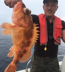 シーモンキー 釣果