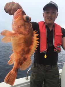 シーモンキー 釣果