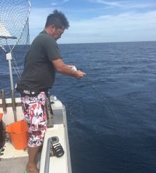 シーモンキー 釣果