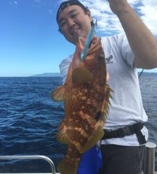 シーモンキー 釣果