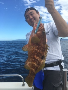 シーモンキー 釣果