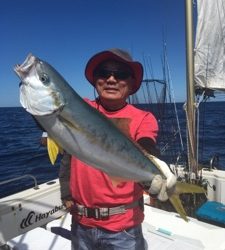 シーモンキー 釣果