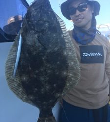 シーモンキー 釣果