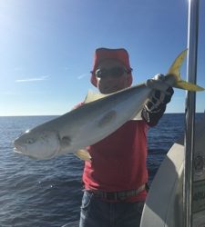 シーモンキー 釣果