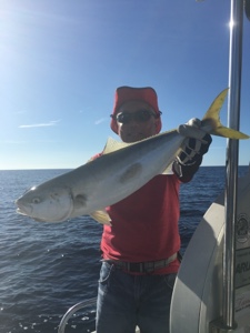 シーモンキー 釣果