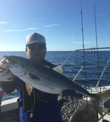 シーモンキー 釣果