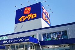 シーモンキー 釣果