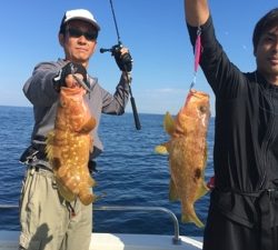 シーモンキー 釣果