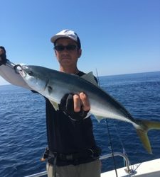 シーモンキー 釣果