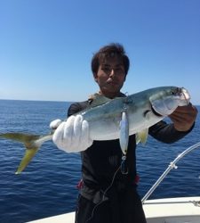 シーモンキー 釣果