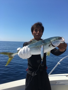 シーモンキー 釣果