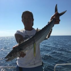 シーモンキー 釣果