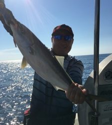 シーモンキー 釣果