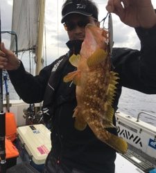 シーモンキー 釣果