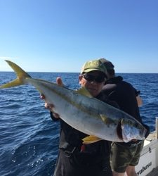 シーモンキー 釣果