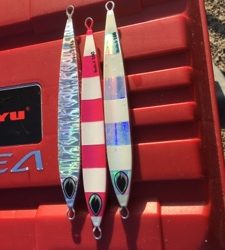 シーモンキー 釣果