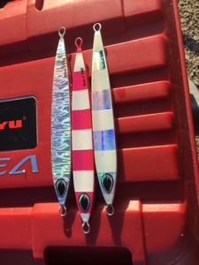 シーモンキー 釣果