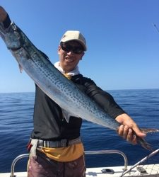 シーモンキー 釣果