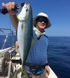 シーモンキー 釣果