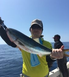 シーモンキー 釣果