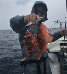 シーモンキー 釣果