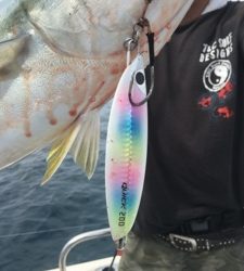 シーモンキー 釣果