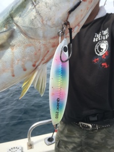 シーモンキー 釣果