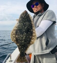 シーモンキー 釣果