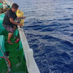 フィッシングハウス伊藤 釣果