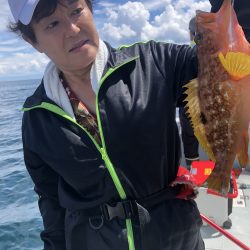 リトルワン 釣果