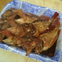 リトルワン 釣果