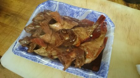 リトルワン 釣果