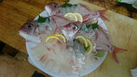 リトルワン 釣果