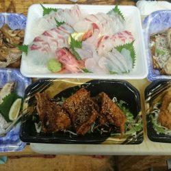 リトルワン 釣果