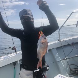 リトルワン 釣果