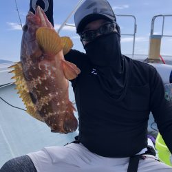 リトルワン 釣果