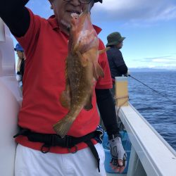 リトルワン 釣果