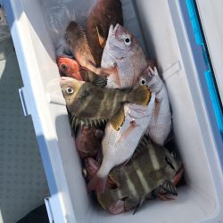 リトルワン 釣果