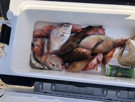 リトルワン 釣果