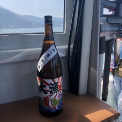 リトルワン 釣果