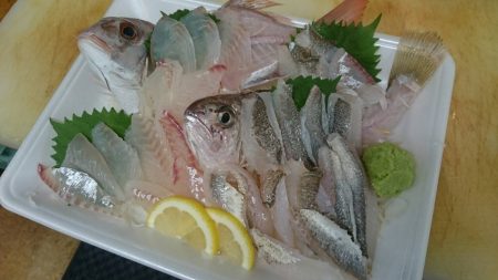 リトルワン 釣果