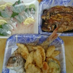 リトルワン 釣果