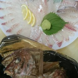 リトルワン 釣果