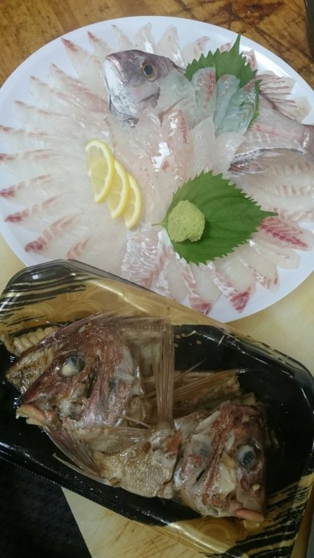 リトルワン 釣果