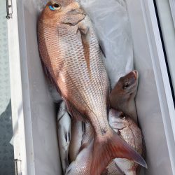 リトルワン 釣果