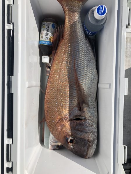 リトルワン 釣果